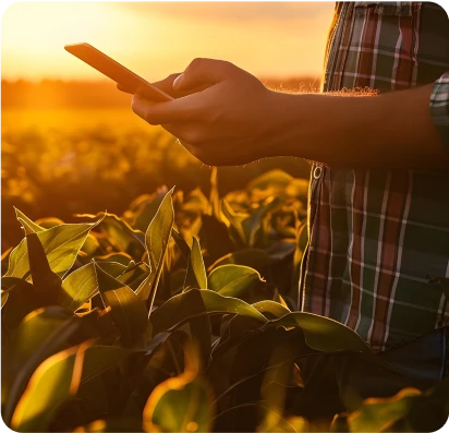 solucoes6_home_gestaoddfc